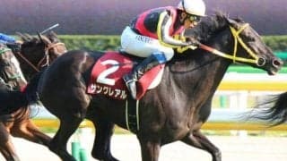 ビワハイジの仔が生んだ100万馬券 サングレアルの重賞初制覇