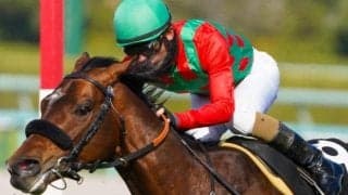 フランケル産駒が3年4カ月ぶりのJRA重賞勝ちなるか マイラーズCで強豪撃破狙う