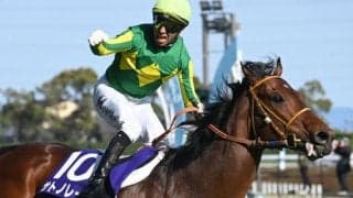 【香港・チェアマンズSP枠順】高松宮記念覇者のサトノレーヴは6番ゲート、11連勝中の香港馬は4番ゲート