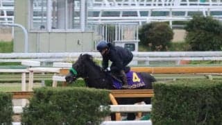 ジャスティンパレスなど、天皇賞(春)1週前追い切り速報/栗東トレセンニュース