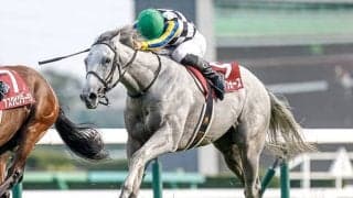 【香港・チャンピオンズM枠順】 悲願のGI初制覇を目指す日本馬ガイアフォースは13番ゲート