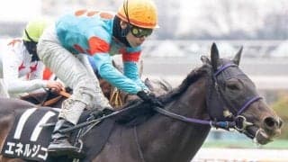 2戦2勝のドゥラメンテ産駒が青葉賞に ルメール騎手と重賞初制覇なるか