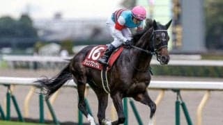 【マイラーズC出走馬・騎手確定】ジュンブロッサム＆武豊騎手、セオ＆岩田望来騎手など10頭