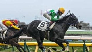 【フローラS出走馬・騎手確定】エストゥペンダ＆三浦皇成騎手、ゴーソーファー＆津村明秀騎手など18頭