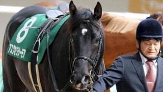 福永祐一厩舎の3億円馬 自己条件で2勝目狙う
