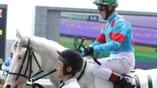 “白毛一族”のナダル産駒 日曜京都2Rで待望の初勝利なるか