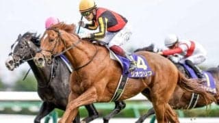 ジオグリフに右第3中手骨々折が判明 6カ月以上の休養を要す見込み