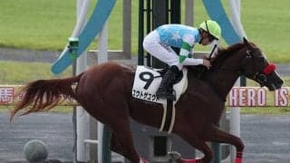 JRAで唯一の産駒 生まれ故郷の父を喜ばせる待望の2勝目なるか