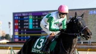 【フローラS枠順確定】エストゥペンダは8枠18番、ゴーソーファーは5枠9番