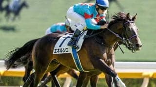 青葉賞が開幕週に 東京開幕週の2400mのデータは？