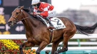 【青葉賞予想】前走重賞組よりも1勝クラス組が優勢！ 未勝利戦から参戦する馬は前走での内容に要注意