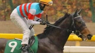 今週の武豊騎手は13鞍 マイラーズCの31年ぶりVなるか