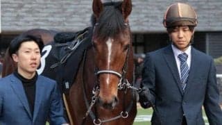 東京芝は内枠に注 青葉賞は最内マテンロウバローズのイン突きだ