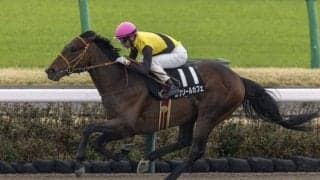 ルクソールカフェが米国へ到着…ケンタッキーダービー出走予定