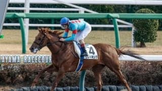 【ユニコーンS想定馬・騎手】クレーキング、メイショウズイウンなど11頭