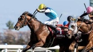 【NHKマイルC想定馬・騎手】アドマイヤズーム、ランスオブカオスなど19頭