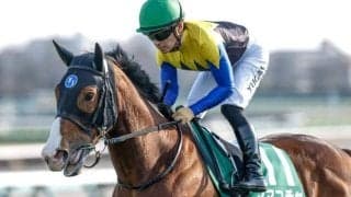 【京王杯SC想定馬・騎手】ママコチャ、トウシンマカオなど11頭