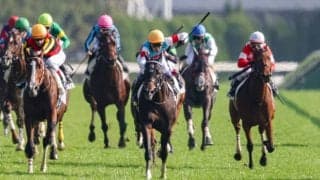 武豊ジュンブロッサムと久々のコンビ復活…今週の騎乗馬