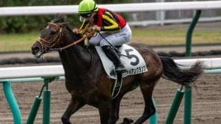 【今日の注目ポイント】青葉賞で素質馬たちが日本ダービーへの優先出走権を争う
