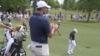 【動画】昨年優勝マキロイ・ラウリー組も上位で週末へ　首位はサリンダ・ベロ組【チューリッヒクラシックオブニューオーリンズ2日目】