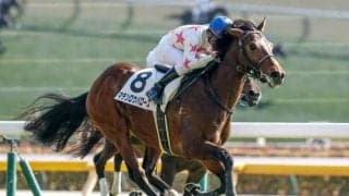 東京芝は超高速馬場か 青葉賞は内枠＆先行勢に注目