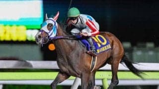 【大井・羽田盃枠順】雲取賞覇者ジャナドリアは5枠9番、京浜盃6馬身差Vのナチュラルライズは7枠12番