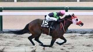 【鎌倉S】モレイラ騎乗 ビダーヤがダートで3連勝