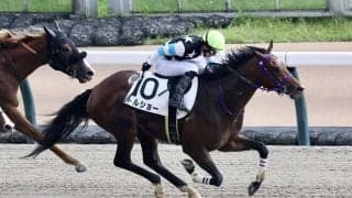 【東京6R】トルショーが好位から抜け出す…ハヤブサマカオー全弟