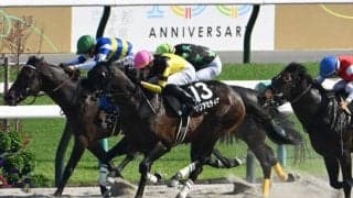 【天王山S結果】ドンアミティエが混戦を制しオープン3連勝