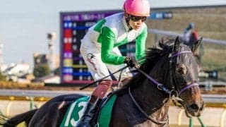 【フローラS予想】サンデーサイレンス系を筆頭とした血統に良績が集中！ 父ミスプロ系は前走の人気が好走の鍵