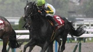 【マイラーズC予想】前走1600mでの大敗は致命的!? 昨年の3着馬が当てはまった消去法データとは