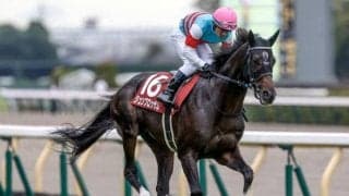 【マイラーズC前日オッズ】ジュンブロッサムが2.2倍で1番人気