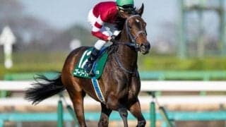 東京芝は開幕週でも外差しOK ゴーソーファーの差し切りだ