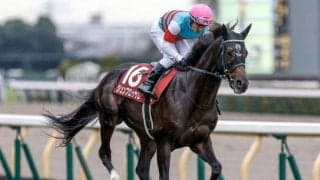 【AI予想・マイラーズC】上位人気馬に良績が集中するGI前哨戦！ 人工知能はメンバー唯一のマイル重賞ウイナーの反撃に期待