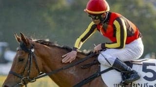 母が米G1勝ちの良血馬 日曜東京8Rで地方時代から続く4連勝狙う