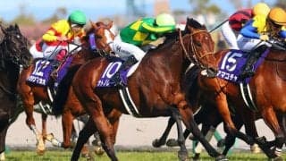 【チェアマンズスプリントプライズ】サトノレーヴは6番ゲートから…日本馬は4頭