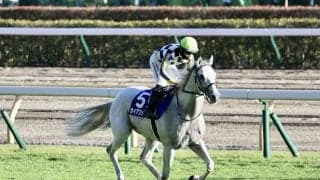 【チャンピオンズマイル】ガイアフォースは13番ゲートから