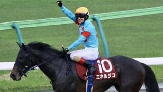 【青葉賞】ルメール「“ダービー”トライしないといけない」エネルジコが無傷でV