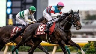 【今日の注目ポイント】マイラーズCとフローラSの2重賞と香港チャンピオンズデー