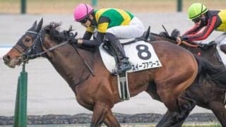 父はディープ×母はGI・3勝 良血馬がセンテニアル・パークSでOP入り狙う