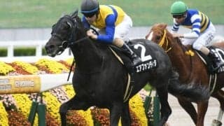 【マイラーズC予想】安田記念の前哨戦 開幕週ゆえ高速馬場に対する適性重視で