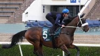 【競馬予想】香港チャンピオンズデー　日本馬出走のＧＩ３レースで一発が期待できる穴馬