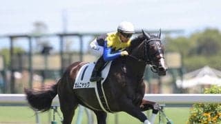 【競馬予想】フローラＳで狙える穴馬２頭　春のＧＩシリーズ後半戦へ、資金ゲットのチャンスを逃すな