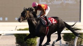 【高知・四万十川特別】伏兵アイファーキングズが快勝…1年3ヶ月ぶりV