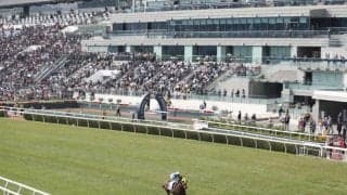 香港チャンピオンズデー 日本から3競走に計8頭が出走