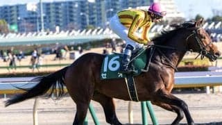 京都芝は先行優勢 マイラーズCはセオの粘り込みだ