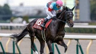 【マイラーズC・馬体重】ジュンブロッサムは482kg(+4)、セオは498kg(+2)