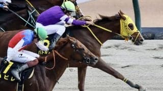 【オアシスS】バトルクライが混戦から抜け出す