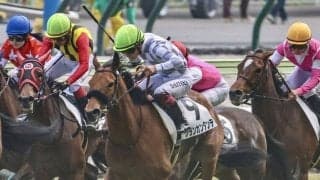 【福島8R】グランカンタンテが混戦から抜け出して2勝目…小沢大仁騎手が好調