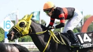 【JRA・WIN5】的中わずか3票！ 配当は1億8528万60円！